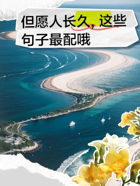 但愿是什么意思_但愿表达了什么情感