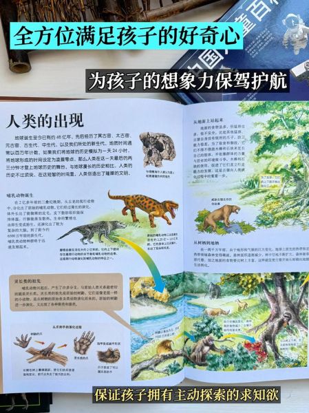 少儿百科全书怎么读_如何选书