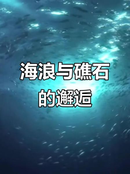 礁石象征什么情感_礁石在爱情里代表什么