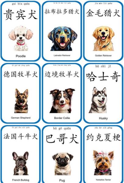 名犬百科读书卡怎么用_适合几岁孩子