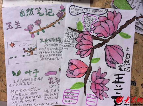 趣味自然百科读书笔记_自然知识怎么记