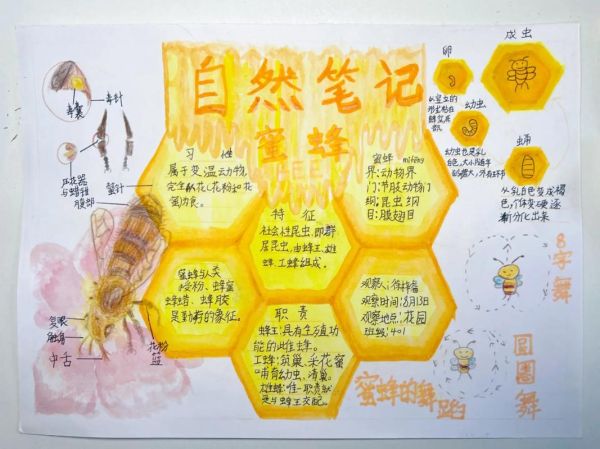 趣味自然百科读书笔记_自然知识怎么记