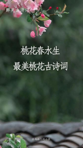 桃花古诗表达什么情感_桃花意象为何动人