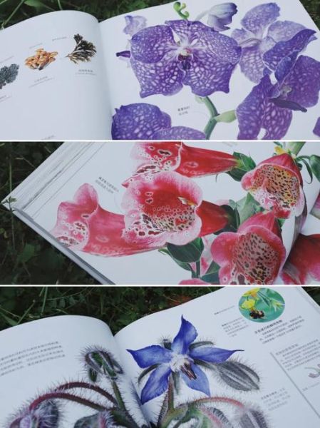 植物百科书推荐书目_适合新手阅读的有哪些