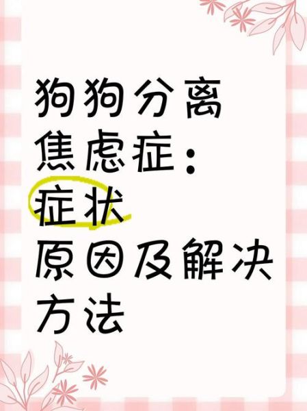 狗狗为什么突然躲起来_狗狗焦虑表现有哪些