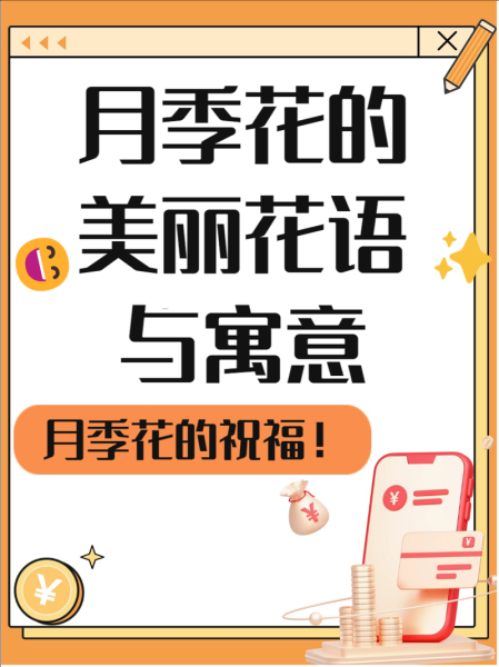 月季花语是什么_月季表达什么情感