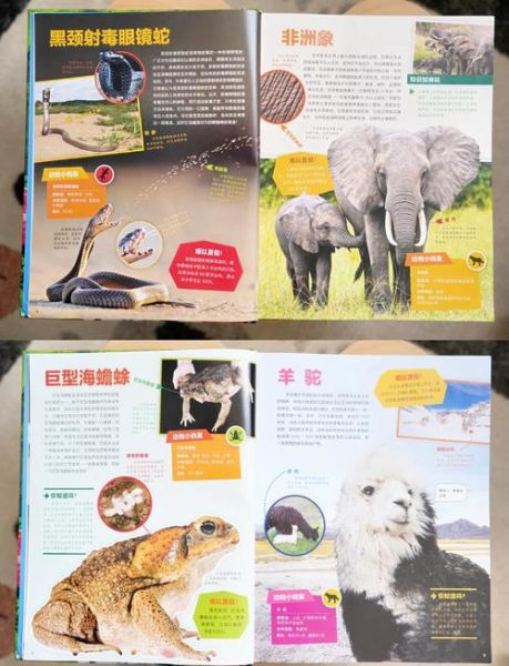 百科书必读书推荐_有哪些经典值得收藏