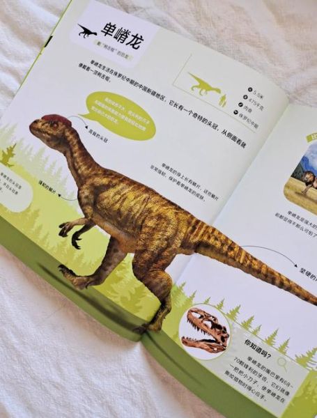 恐龙百科全书点读笔怎么用_恐龙点读笔适合几岁孩子