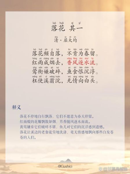 落花雨表达了什么情感_如何理解落花雨意境