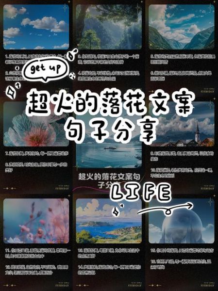 落花表达什么情感_如何借落花抒情