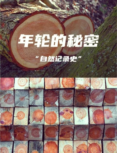 年轮怎么表达情感_树木年轮记录情感吗