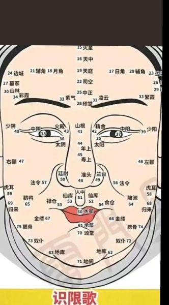 面相能看出情绪吗_长相与情感的关系