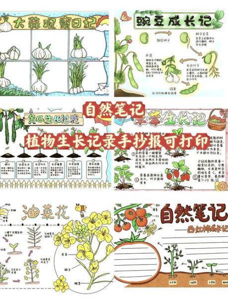 如何记录自然百科读书笔记_自然百科读书笔记怎么做