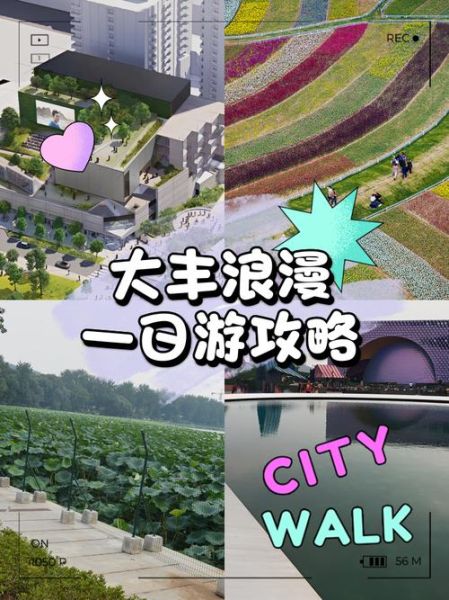 大丰哪里好玩_大丰一日游路线