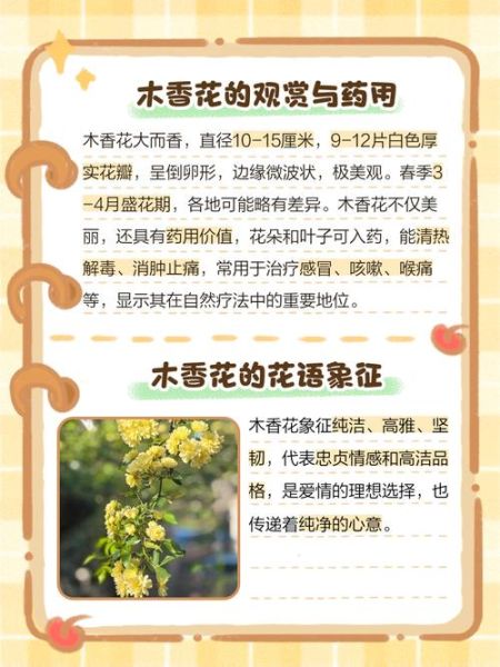 花香如何表达情感_花香与情绪的关系