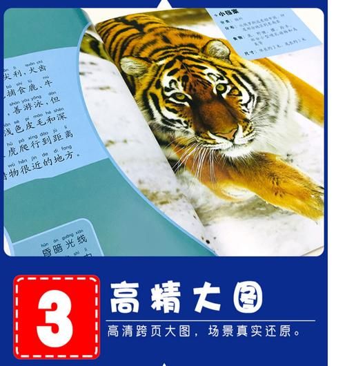 动物大百科免费阅读_哪些动物最聪明