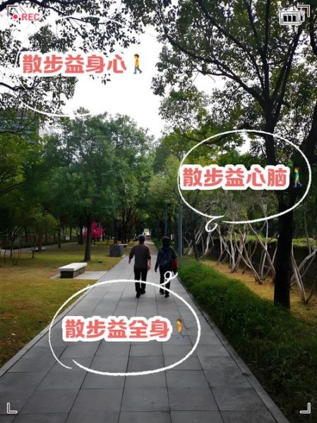 散步有什么好处_散步如何调节情绪