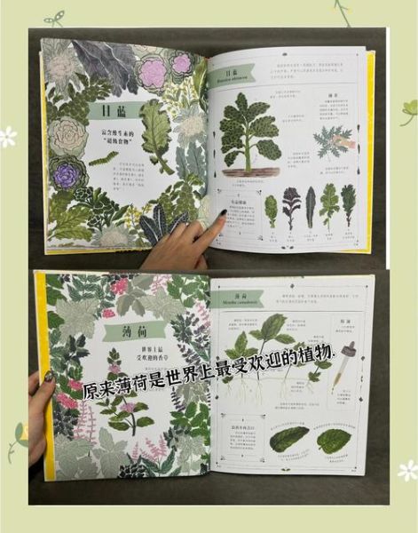 植物大百科适合几岁孩子读_怎么选植物科普书