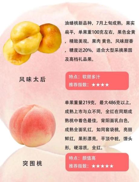 桃子代表什么情感_送桃子有什么寓意