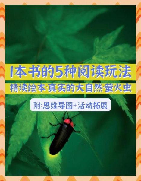 萤火虫读书会是什么_如何加入