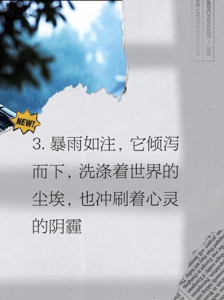 暴雨表达什么情感_暴雨象征什么