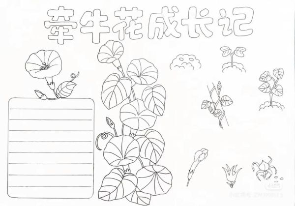 植物百科全书读书卡怎么做_黑白模板怎么设计