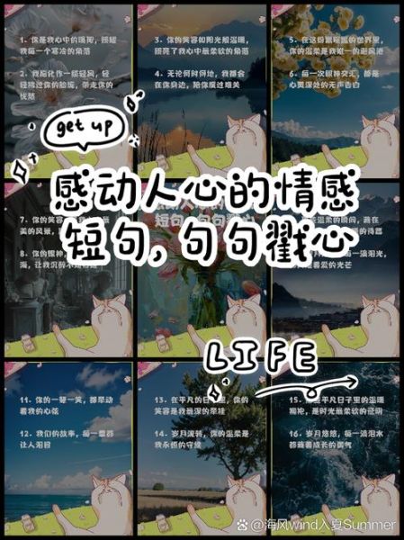 情感短片怎么拍_情感短片如何打动人心