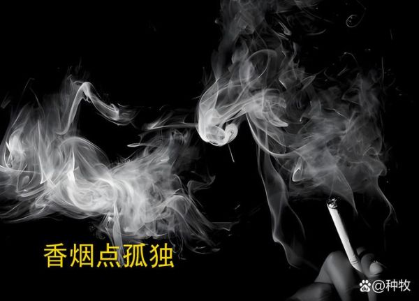 烟的意象表达什么情感_如何理解烟的孤独