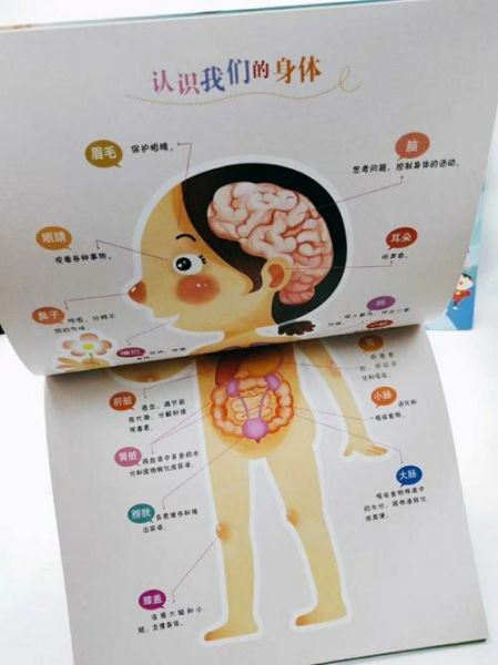 读书百科小册电子版下载_如何免费获取