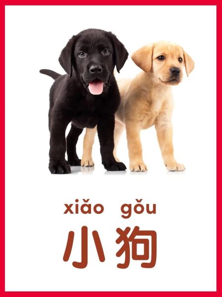 一年级动物认知小百科_适合几岁孩子读