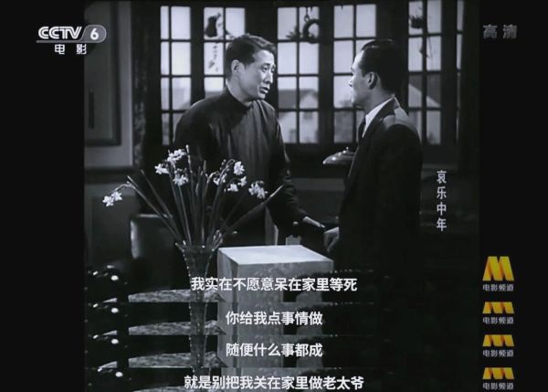 哀乐中年表达了什么情感_哀乐中年影评