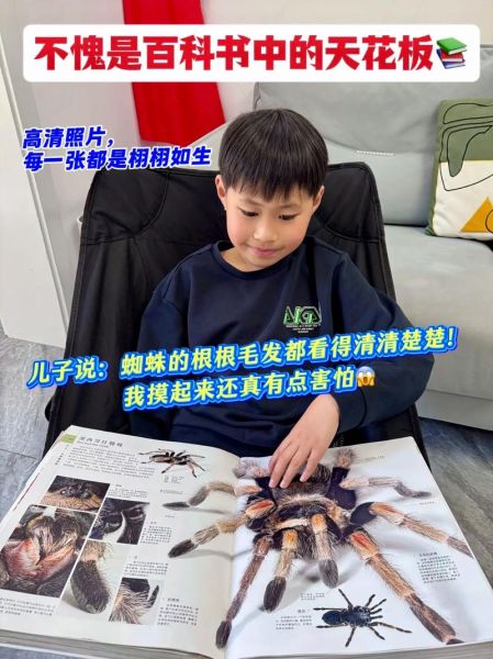 读书郎点读笔dk博物大百科怎么用_适合几岁孩子