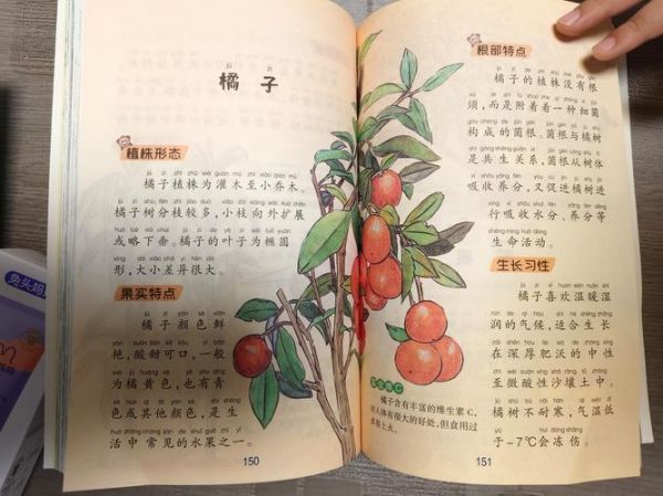 读书百科知识全书_适合什么年龄段