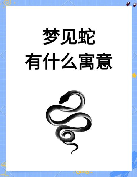 蛇会表达情感吗_蛇如何与人类建立情感联系