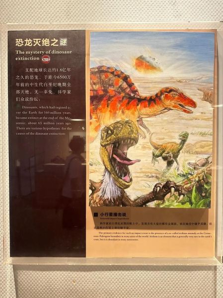 恐龙为什么会灭绝_恐龙百科读书报告