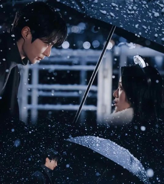 蜉蝣情感表达_如何理解短暂却炽热的爱