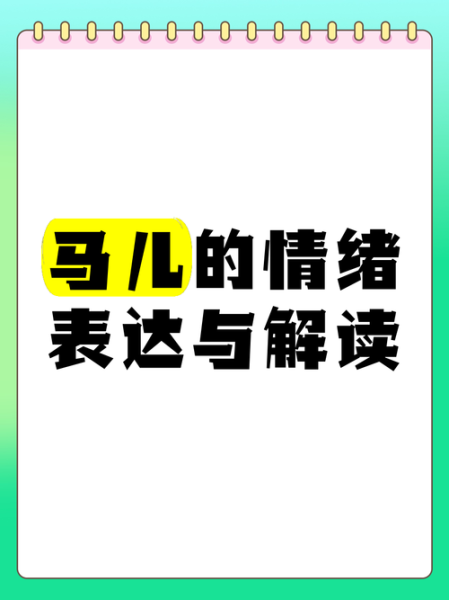 马儿情感表达_马儿如何表达情绪