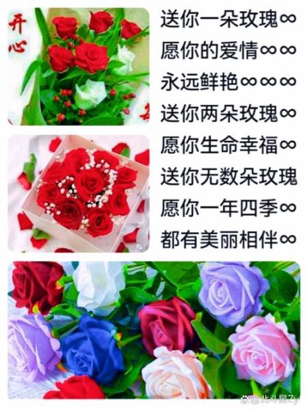 玫瑰花语是什么_送几朵代表什么
