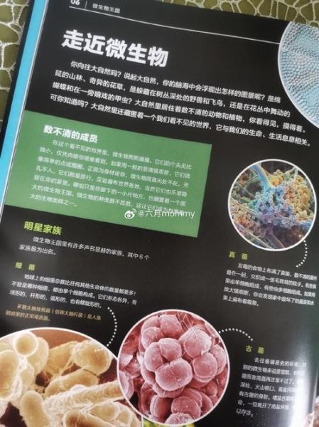 微生物大百科适合什么人读_微生物大百科读书分享