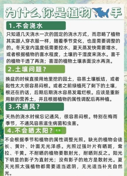 植物百科大全读书心得_植物养护常见误区