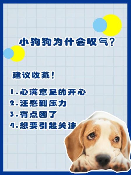 小黑狗为什么总叹气_小黑狗叹气是伤心吗