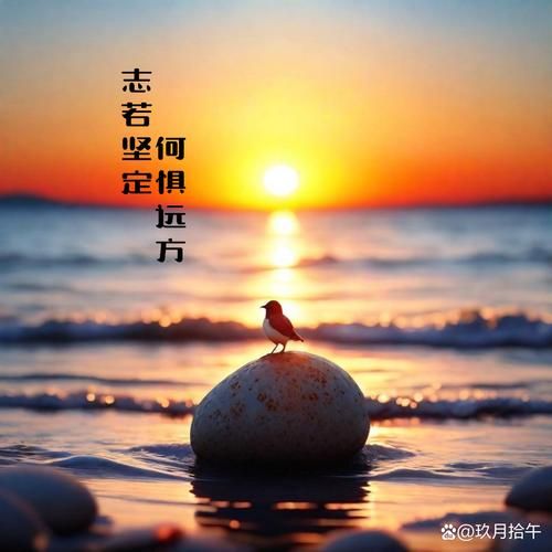 心露是什么_如何表达心露情感