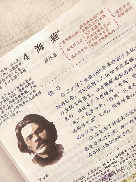 海燕表达了什么情感_如何理解高尔基的海燕