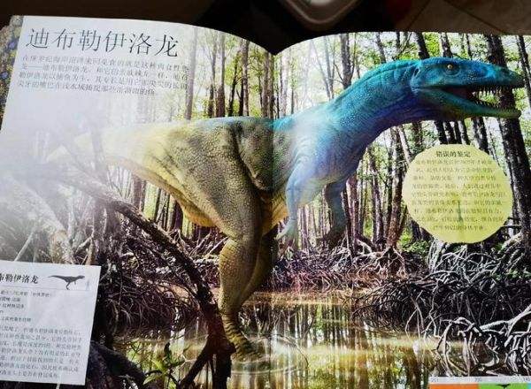恐龙是怎么灭绝的_恐龙百科读书心得
