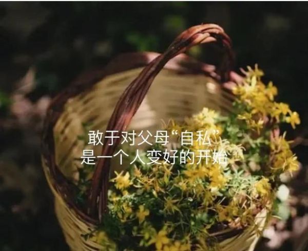 脐带情感表达是什么_如何理解脐带情感表达