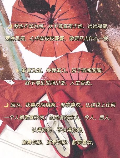 当年情歌词表达的情感_如何理解