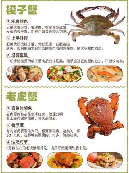 海蟹怎么挑选_海蟹百科知识