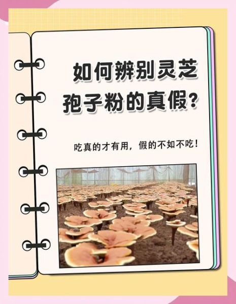 如何挑选优质灵芝孢子粉_灵芝孢子粉真假鉴别方法