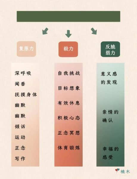 什么是心理韧性_如何提升心理韧性