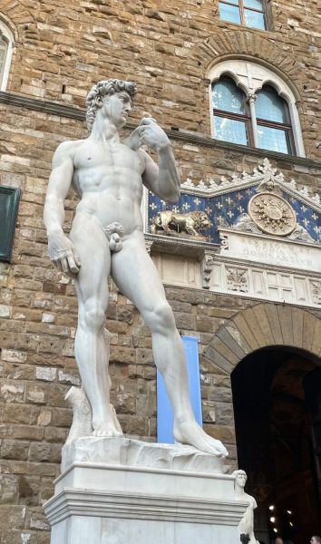 大卫读书人是谁_大卫读书人百科详解